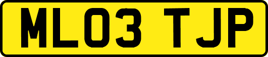 ML03TJP