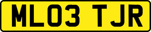 ML03TJR