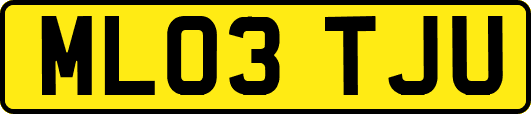 ML03TJU