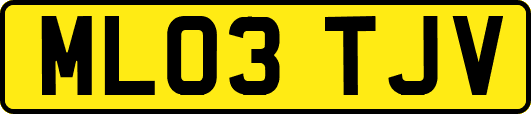 ML03TJV