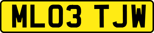 ML03TJW
