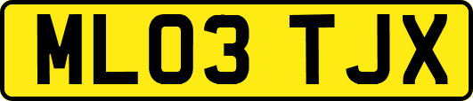 ML03TJX