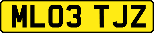 ML03TJZ