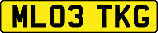 ML03TKG
