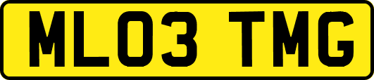 ML03TMG