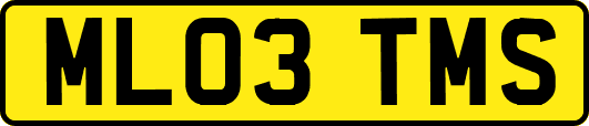 ML03TMS