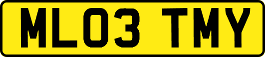 ML03TMY