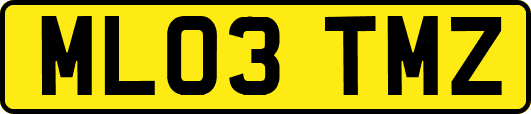 ML03TMZ