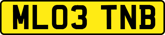 ML03TNB