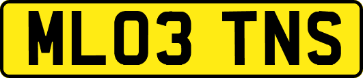 ML03TNS