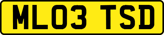 ML03TSD