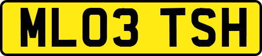 ML03TSH