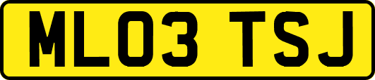 ML03TSJ