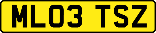 ML03TSZ