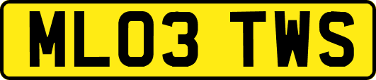 ML03TWS