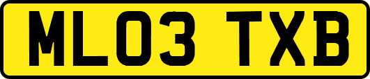 ML03TXB