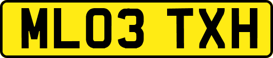 ML03TXH