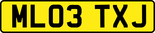 ML03TXJ