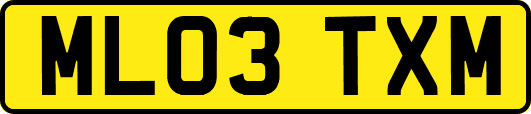 ML03TXM