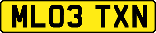 ML03TXN