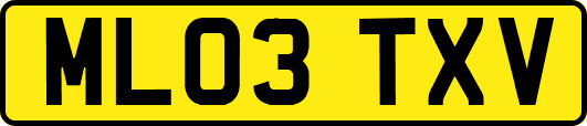 ML03TXV