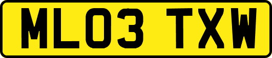 ML03TXW