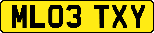 ML03TXY