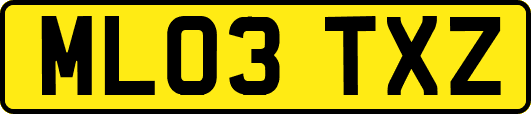 ML03TXZ