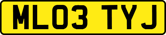 ML03TYJ