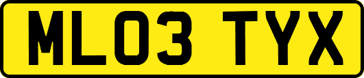 ML03TYX