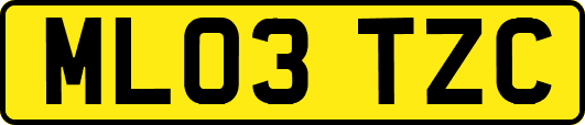 ML03TZC