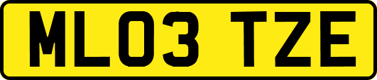 ML03TZE