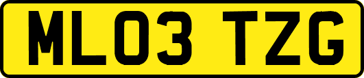 ML03TZG