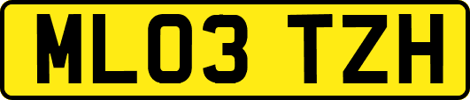 ML03TZH