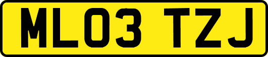 ML03TZJ