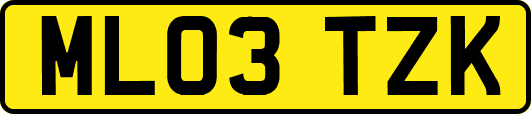 ML03TZK