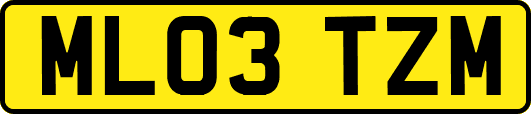 ML03TZM