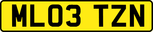 ML03TZN