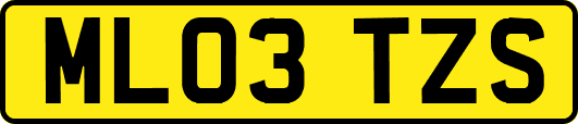 ML03TZS