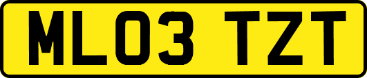 ML03TZT