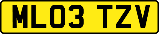 ML03TZV