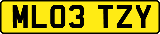 ML03TZY