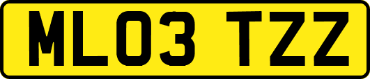 ML03TZZ