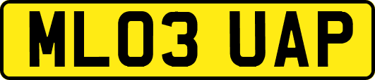 ML03UAP