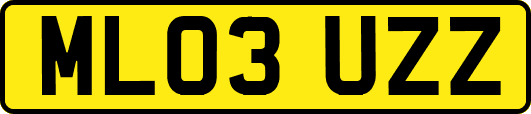 ML03UZZ