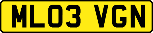 ML03VGN