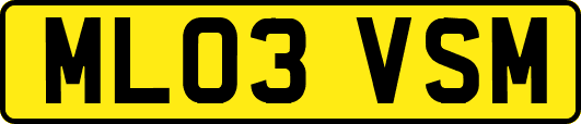 ML03VSM