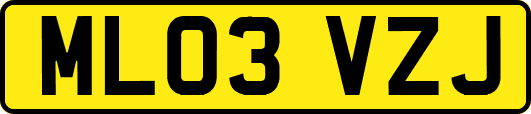 ML03VZJ