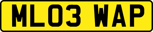 ML03WAP