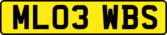 ML03WBS